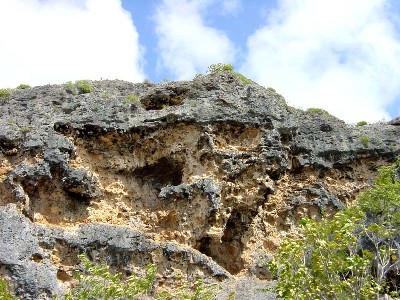 Bonaire Coral Hills
