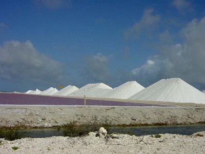 Bonaire Salt Pillars