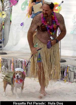 Regatta Pet Parade:  Hula Dog